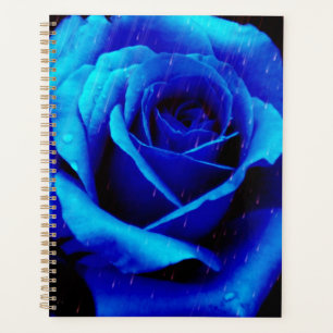 Dramatic Blue Rose Planner