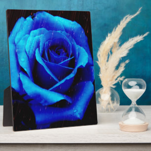 Dramatic Blue Rose Plaque
