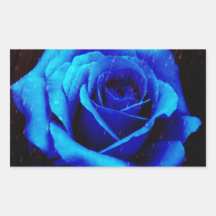 Dramatic Blue Rose Rectangular Sticker
