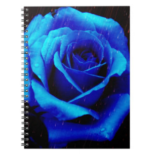 Dramatic Blue Rose Spiral Notebook