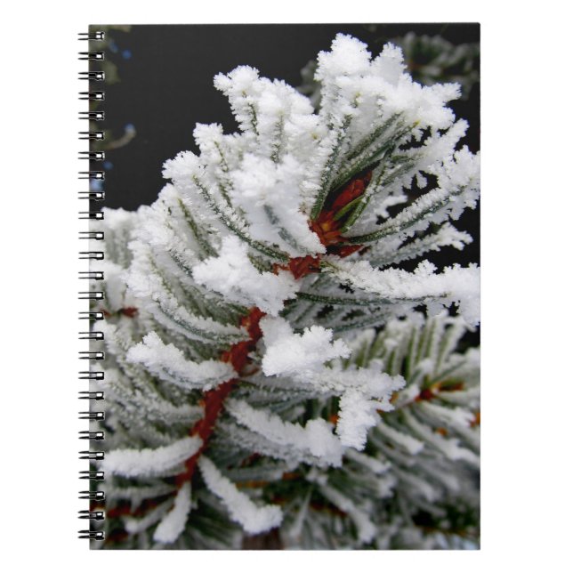 Dramatic Frosted Pine Branch Spiral Notebook (Front)