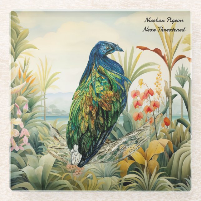 Dramatic Hand-Painted Nicobar Pigeon Glass Coaster (Front)