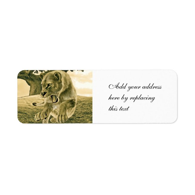 Dramatic Lioness Safari Wildlife Art (Front)