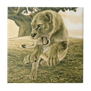 Dramatic Lioness Safari Wildlife Art Tile