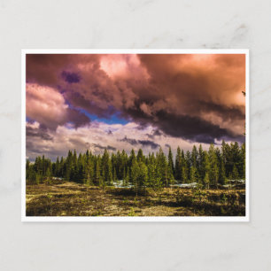 Dramatic Northern Landscape Postcard