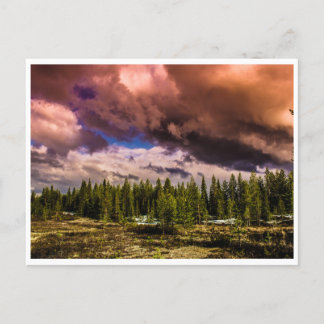 Dramatic Northern Landscape Postcard