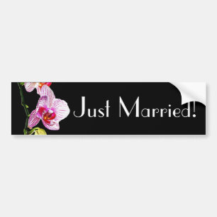 Dramatic Orchid - Just Married Bumper Sticker