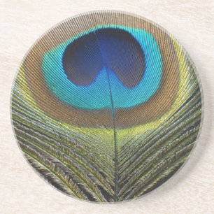 Dramatic Peacock Feather Coaster