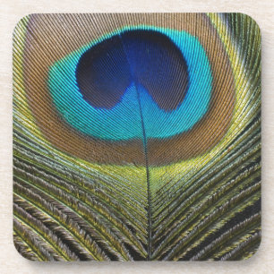 Dramatic Peacock Feather Coaster