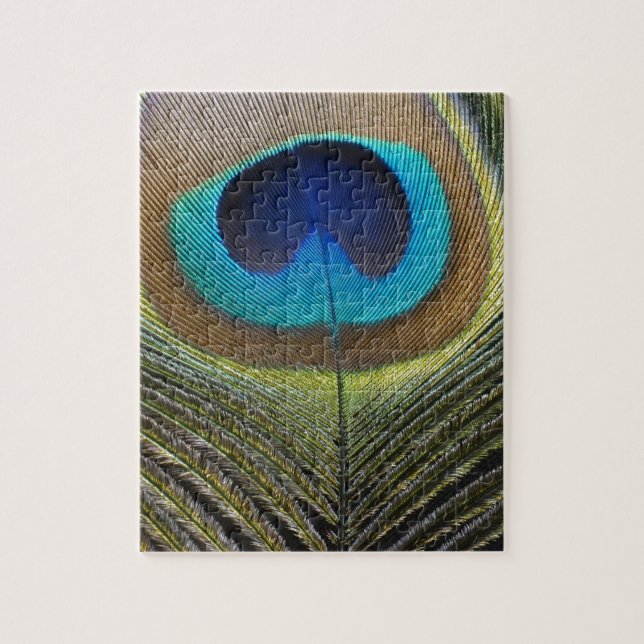 Dramatic Peacock Feather Jigsaw Puzzle (Vertical)