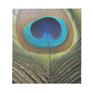 Dramatic Peacock Feather Notepad