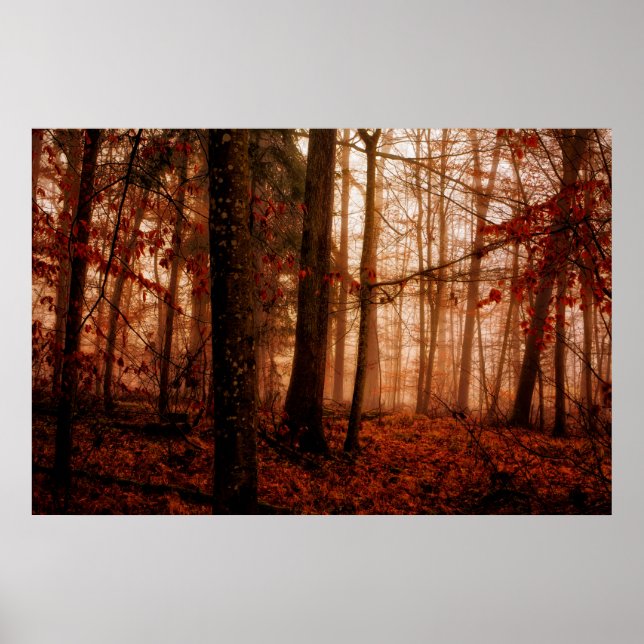 Dramatic red foggy winter snowless forest poster (Front)