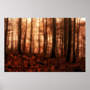 Dramatic red foggy winter snowless forest poster