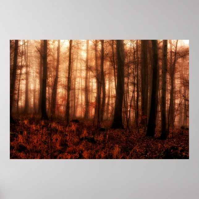 Dramatic red foggy winter snowless forest poster (Front)