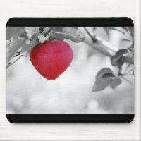 Dramatic Red Heart Shaped Apple