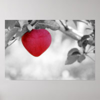 Dramatic Red Heart Shaped Apple
