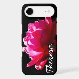 Dramatic Red Rose Photo