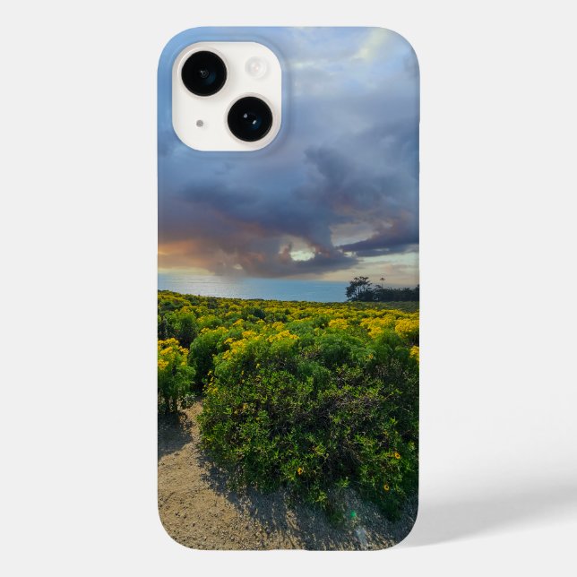 Dramatic Skies at Sunset at Point Dume Case-Mate iPhone Case (Back)