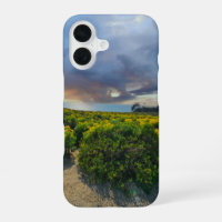Dramatic Skies at Sunset at Point Dume