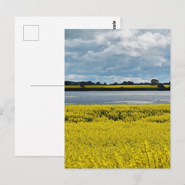 Dramatic Streatham Beauty Postcard (Front/Back)