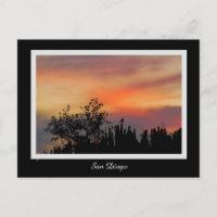 Dramatic Sunset Bird San Diego Pink Orange