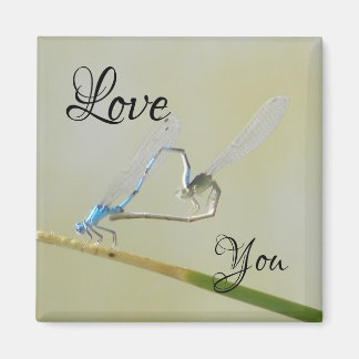 Drangonflies in love magnet