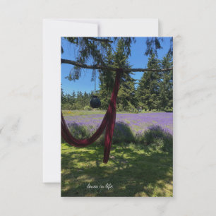 Draping Fabric, Garden Lantern & Lavender Field Card