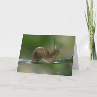 Drat! Late Again. Card