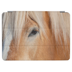Draught Breed Horse iPad Air Cover