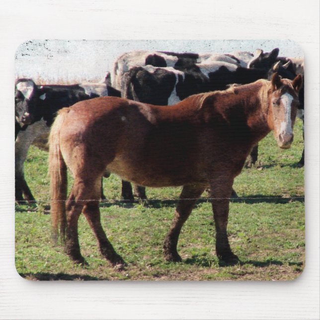 Draught Horse and Dairy Cattle Mouse Pad (Front)