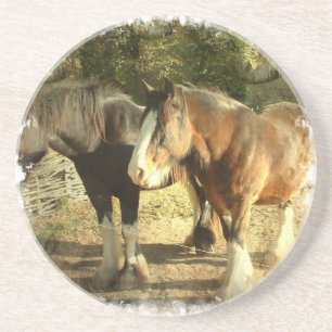Draught Horse Coasters