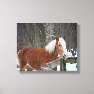 Draught   Horse in the Snow Canvas Print