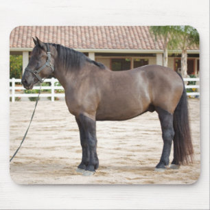 Draught Horse Mouse Pad