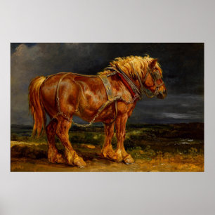 Draught Horse Poster