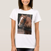 Draught Horse
