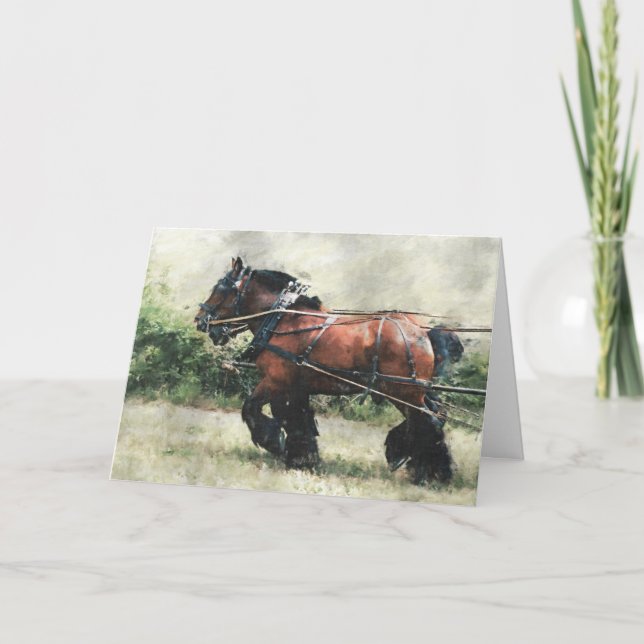 Draught horse team birthday card (Front)