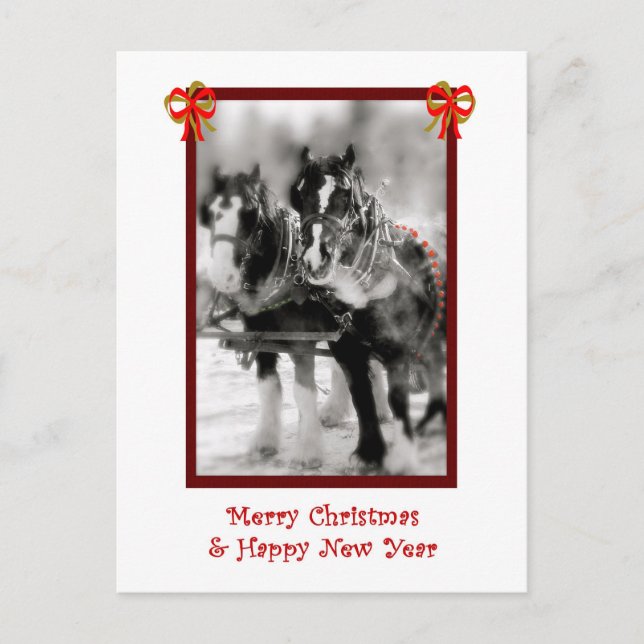Draught Horse Team, Merry Christmas, HNY Postcard (Front)