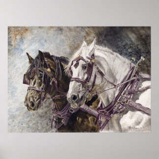 Draught   Horse Team Poster
