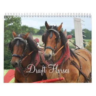 Draught Horses 2016 Calendar