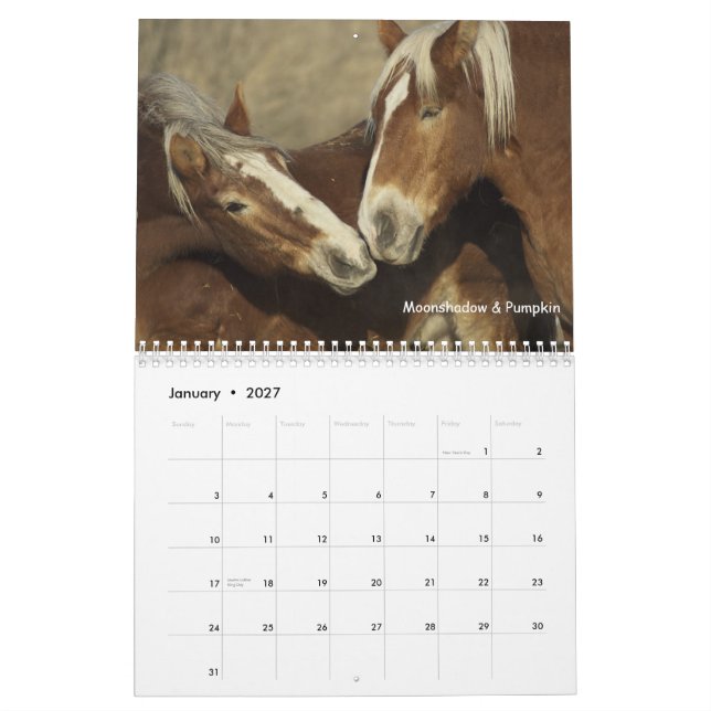 Draught   Horses Calendar #3 (Jan 2027)