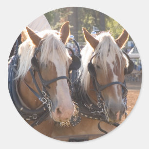Draught Horses Classic Round Sticker