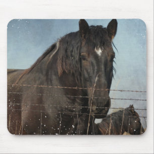 Draught Horses in a pasture Mouse Pad