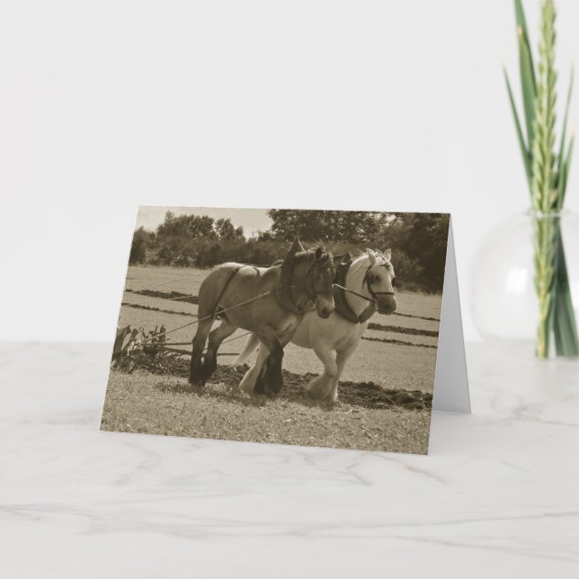 Draught horses ploughing birthday card (Front)