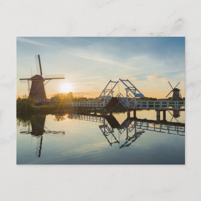 Drawbridge and windmills at sunset in Holland Postcard (Front)