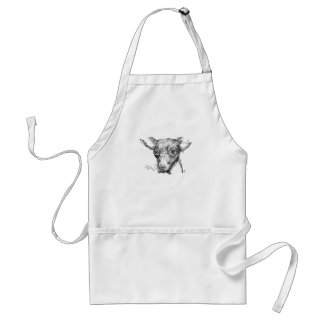 drawing apron