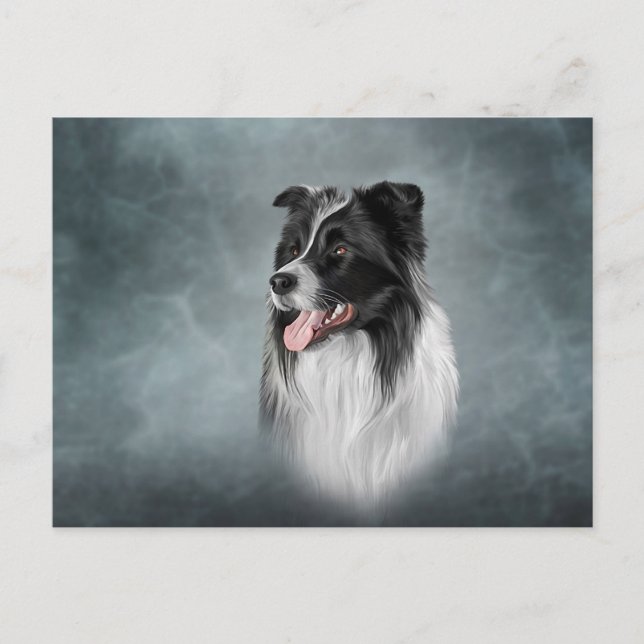 Drawing Dog breed Border Collie Postcard (Front)
