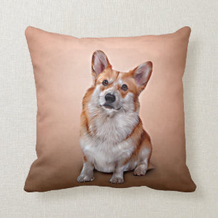 Drawing Dog breed Welsh Corgi  Cushion