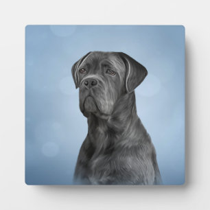 Drawing dog Cane Corso - Italian Mastiff Plaque