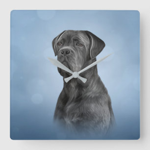 Drawing dog Cane Corso - Italian Mastiff Square Wall Clock