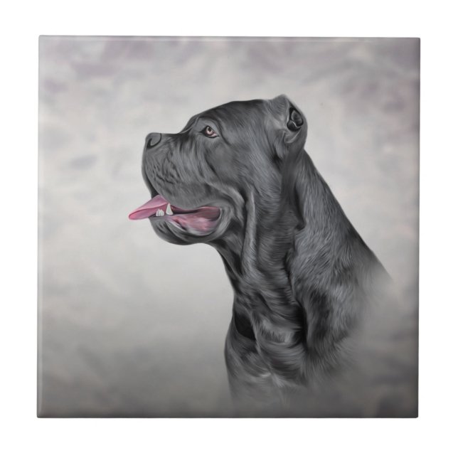Drawing dog Cane Corso - Italian Mastiff Tile (Front)